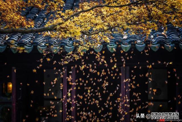 女人一生一定要去的12个旅行地,争取每年去一个