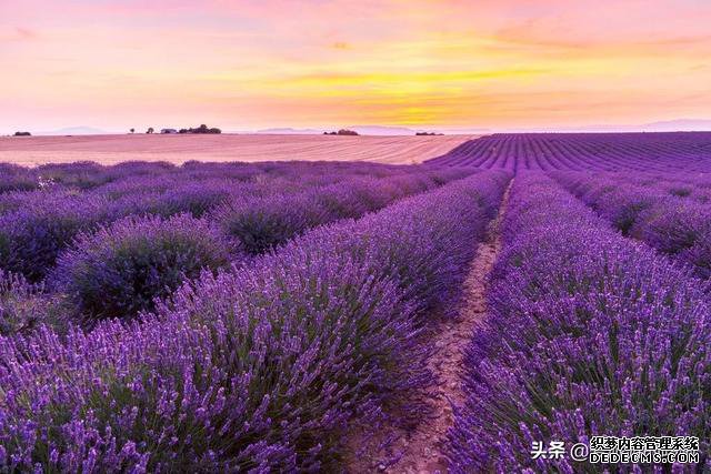 女人一生一定要去的12个旅行地,争取每年去一个
