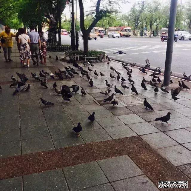 初次去泰国的八大骗局,警惕