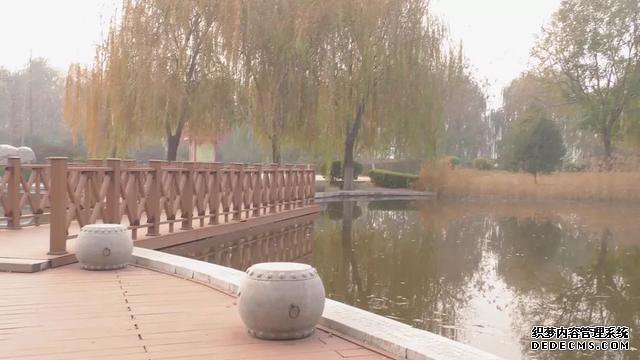 城市“微”旅游 | 清寒小雪时,园博园以斑斓等你......