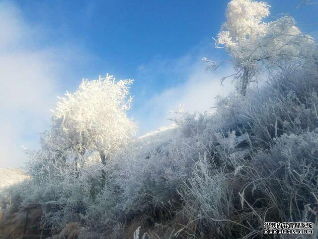 玉树琼林，银龙飞舞......驼梁冬日雾凇雪景大片惊艳来袭