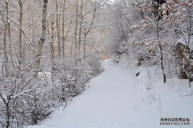 玉树琼林，银龙飞舞......驼梁冬日雾凇雪景大片惊艳来袭