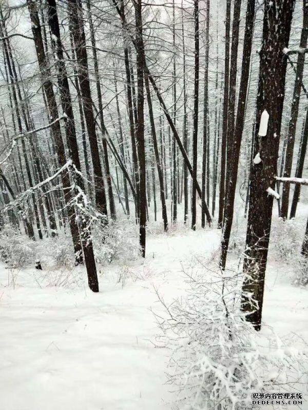 玉树琼林，银龙飞舞......驼梁冬日雾凇雪景大片惊艳来袭