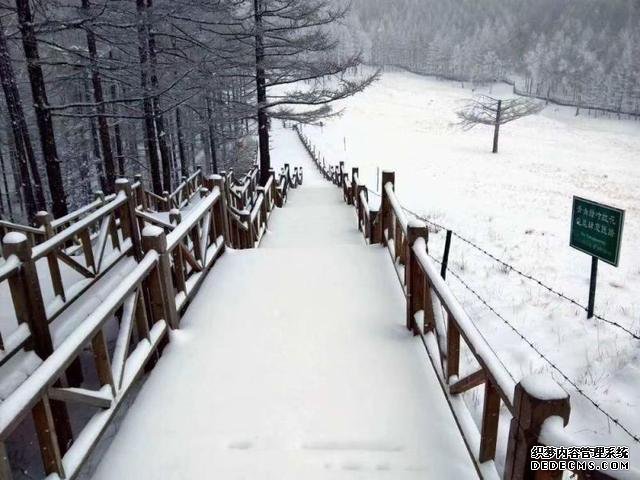 玉树琼林，银龙飞舞......驼梁冬日雾凇雪景大片惊艳来袭