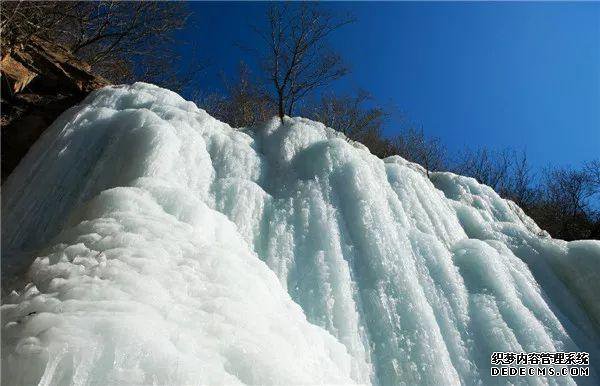 玉树琼林，银龙飞舞......驼梁冬日雾凇雪景大片惊艳来袭