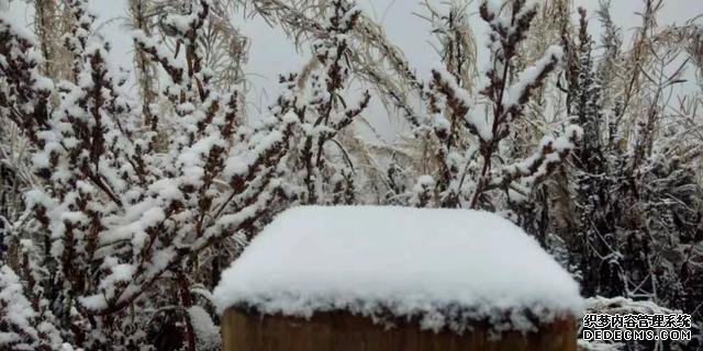 玉树琼林，银龙飞舞......驼梁冬日雾凇雪景大片惊艳来袭