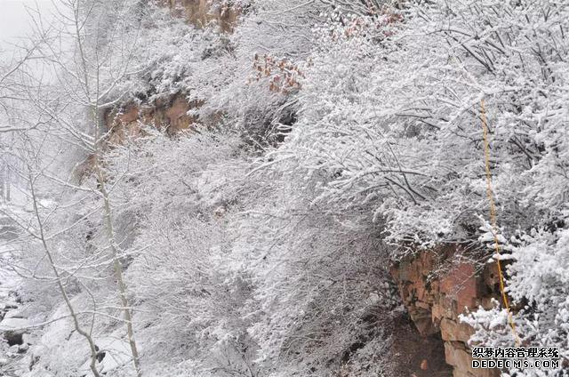 玉树琼林，银龙飞舞......驼梁冬日雾凇雪景大片惊艳来袭