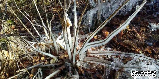 玉树琼林，银龙飞舞......驼梁冬日雾凇雪景大片惊艳来袭