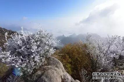 玉树琼林，银龙飞舞......驼梁冬日雾凇雪景大片惊艳来袭