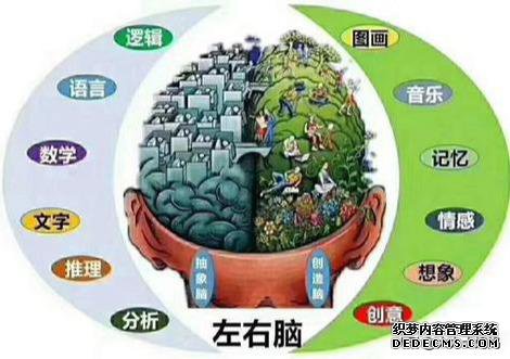 让孩子聪明翻倍的方法,左右脑均衡发展