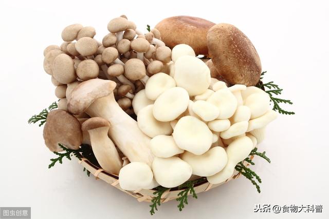每日膳食多一点,肠蠕动快一点