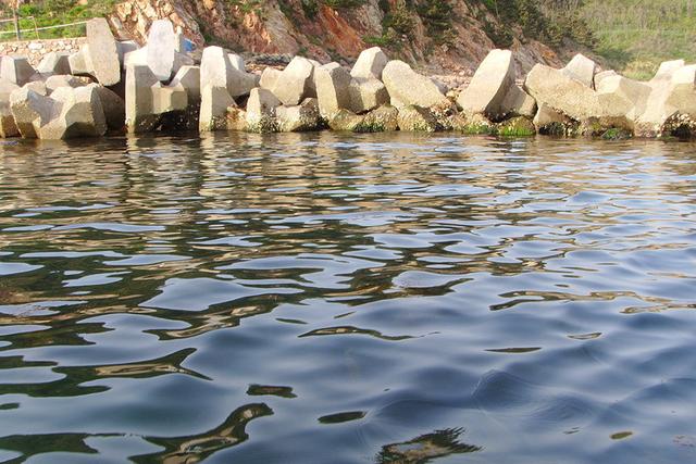 养殖海参需要注意什么，注意池塘不要混入淡水，适时调节水温