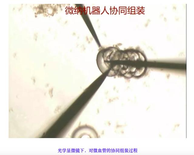 日本顶级专家来到中国,攻克世界难题,帮助中国掌握多项超级技术
