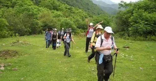 身边有些“万用药”,好用还省钱,现在知道不算晚