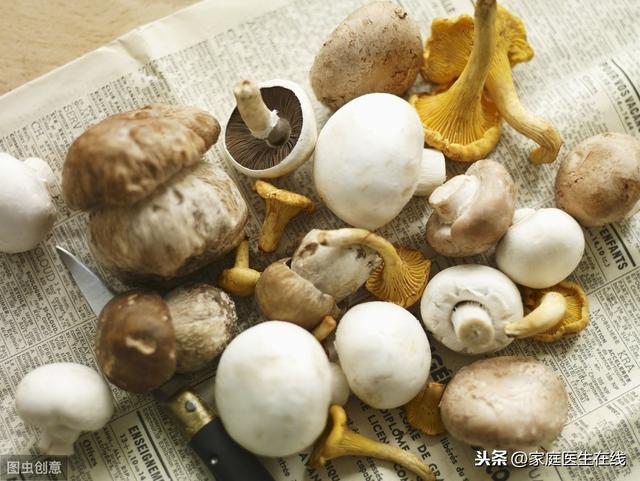 常见6种菌菇有什么营养？带你一一了解其营养功效