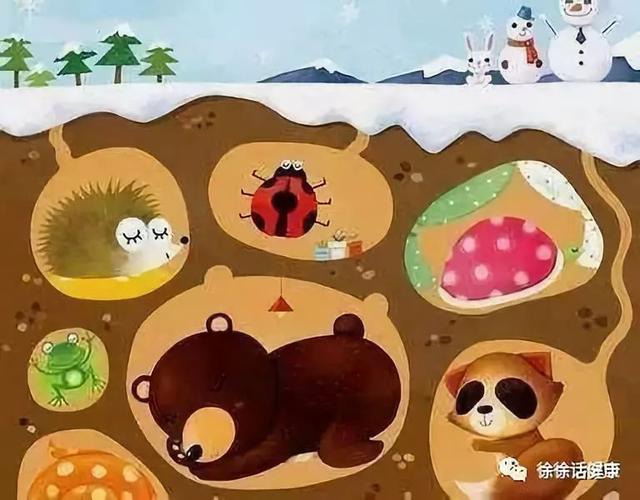 大雪将至,不需冬眠,但要会“藏”
