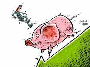 12月9日猪价:跌!后续恐还会有一个“下跌潮”?看完有数了