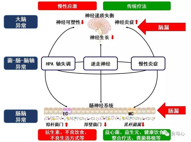 短期饮食调整就可改善抑郁症状