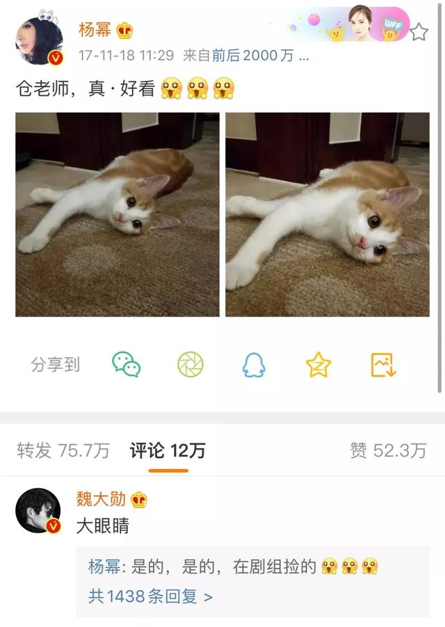 杨幂新恋情被实锤:魏大勋是下一个刘恺威吗?