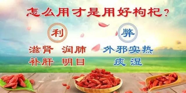 枸杞吃不对,身体反“遭罪”!这几种情况别乱用!