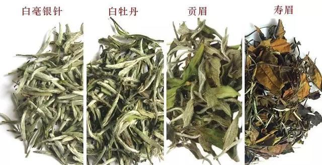 如何喝茶才能不伤胃不影响睡眠？