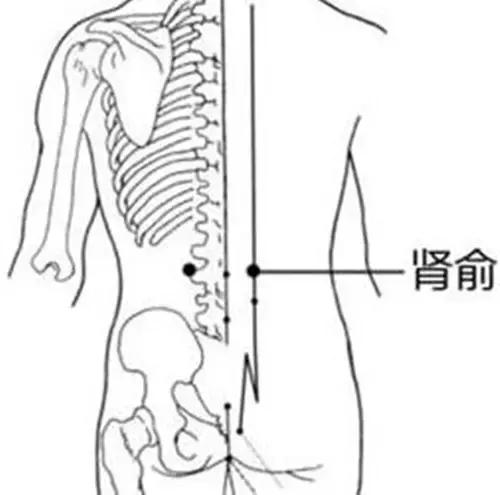 多揉肾、心经,功效赶超六味地黄丸