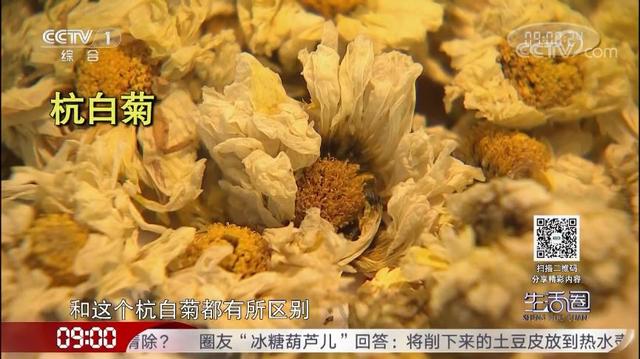 喝菊花茶清热去火、好处多？专家：不宜长期饮用