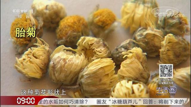 喝菊花茶清热去火、好处多？专家：不宜长期饮用