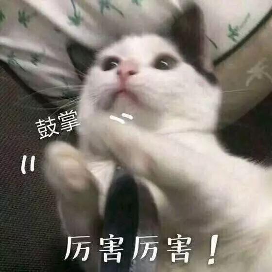 赵丽颖嫁上海小开生子后黑化?杠上同组女艺人却被影业大佬嫌弃