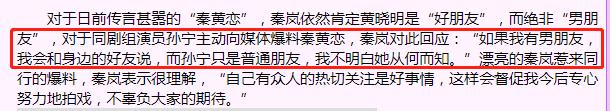 泰迪姐妹团消亡史:秦岚篇