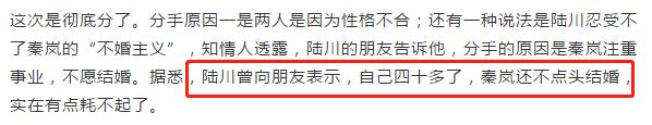 泰迪姐妹团消亡史:秦岚篇