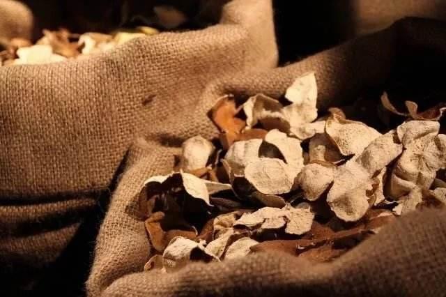 一两陈皮一两金,家里的橘子皮能做成陈皮吗?告诉你有哪些好处