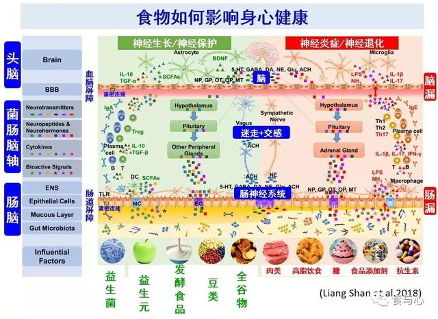 为什么这六类食物能抗衰老