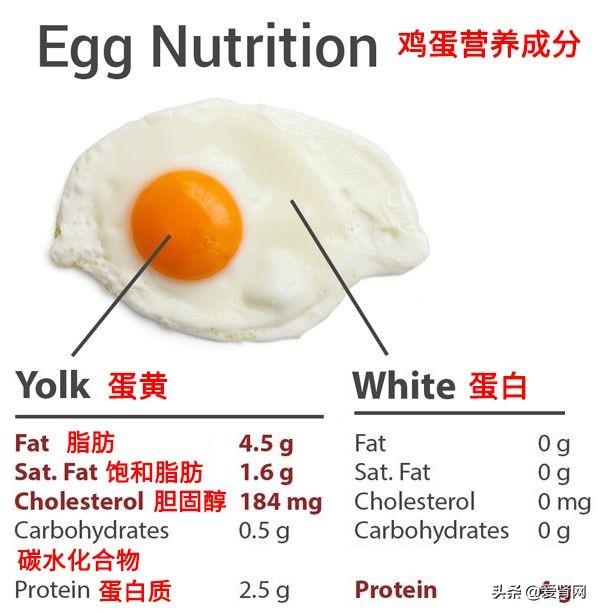 鸡蛋究竟是红皮好,还是白皮好?小鸡蛋有大学问