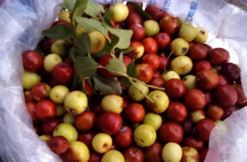 补维C吃蔬菜还是水果?含量最高的3种蔬菜、3种水果,一起告诉你