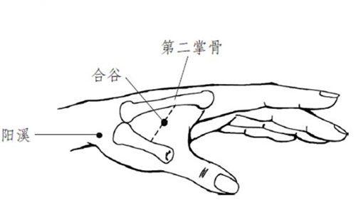 中医推拿活学活用:常用66个穴位的定位顺口溜,帮你轻松巧记穴位