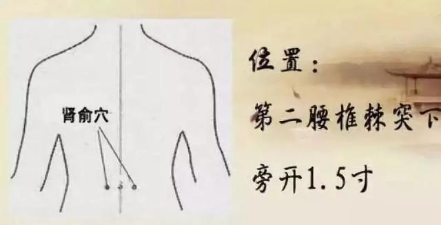 冬至 | 阳气潜藏,阴津蓄积,潜阳补温迎来春