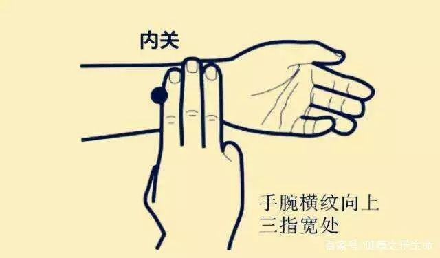 冬至 | 阳气潜藏,阴津蓄积,潜阳补温迎来春