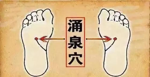 冬至 | 阳气潜藏,阴津蓄积,潜阳补温迎来春