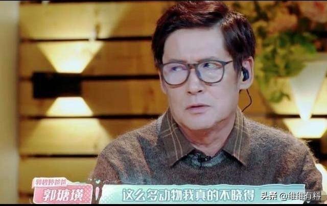 郭爸独自照顾70多只宠物，只为郭碧婷和向佐婚后能幸福