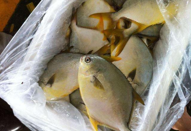 更年期如何食补养生?从这5个方面着手,对您大有益处