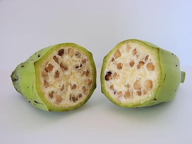 水果未被改良前什么样？一组图片告诉你，图一是400年前的西瓜