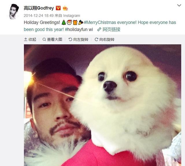 平安夜悼念高以翔!他每年圣诞都与爱犬过,狗狗却再也等不到主人
