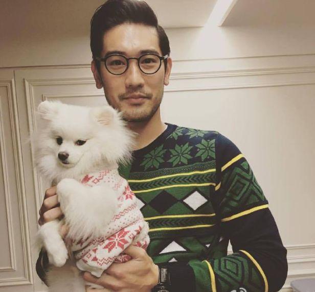 平安夜悼念高以翔!他每年圣诞都与爱犬过,狗狗却再也等不到主人