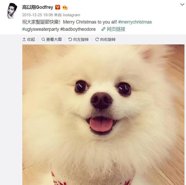 平安夜悼念高以翔!他每年圣诞都与爱犬过,狗狗却再也等不到主人