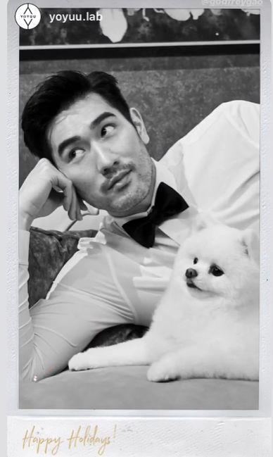 平安夜悼念高以翔!他每年圣诞都与爱犬过,狗狗却再也等不到主人