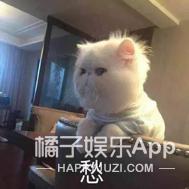 2019明星恋情盘点:有人恋情维持7天,有人就是死不承认