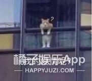 2019明星恋情盘点:有人恋情维持7天,有人就是死不承认