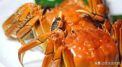 2020年夜饭在家吃,58道吉祥菜谱详细做法,吃出鼠年大吉大利