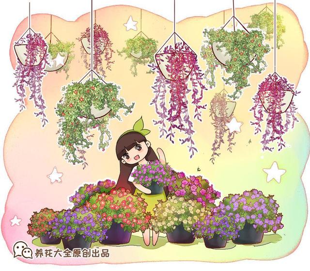15种花,沾土就活,特有成就感,养一次就上瘾